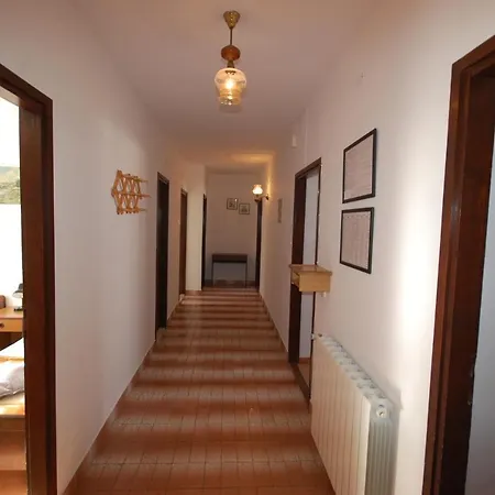 Toni By El-pi Tours *